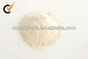 Dried Garlic Powder 80-100mesh manufacturer