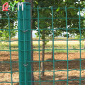 PVC Dilapisi Euro Gaya Holland Wire Mesh Fence