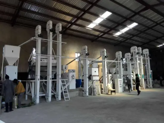 10t Rice Plant Includes Rice Husking Milling Polishing Machine for Sale