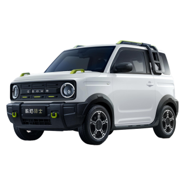 2024 Geely Panda Rider Mini Elektrofahrzeug - 200 km Reichweite