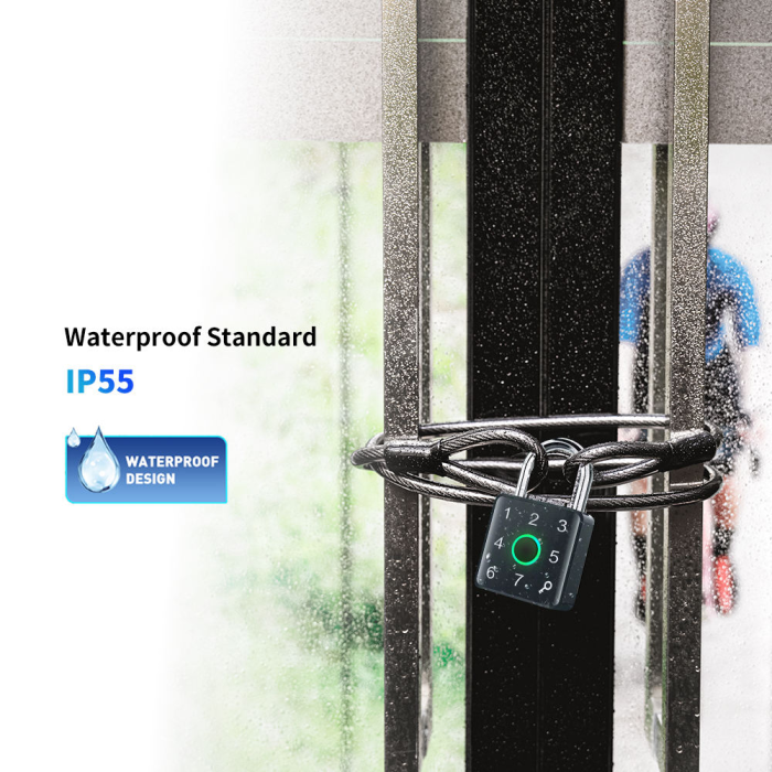 Tuya Ble Ble Finger -Отпечатки Комбинированные багажные блокировки