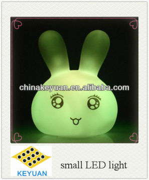 Small battery operated LED light