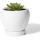 Indoor Plants Flower Succulent with Drainage Hole Saucer