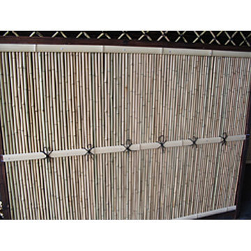 Bamboo Screen