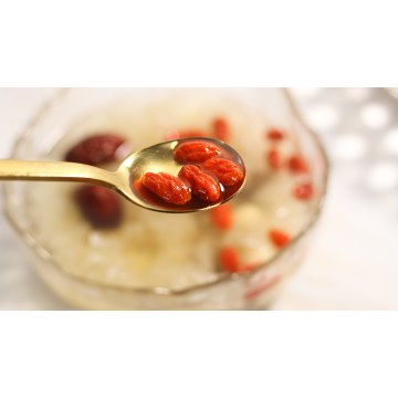 Gesunde Ernährung Goji-Beeren für Tee