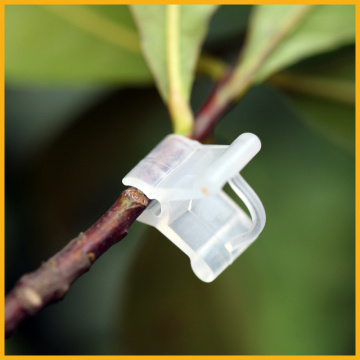 100pcs! Seedlings Grafted Branches Clip Flower Seedlings In Plastic Connecting Parts Arts Grafted Nursery Accessories