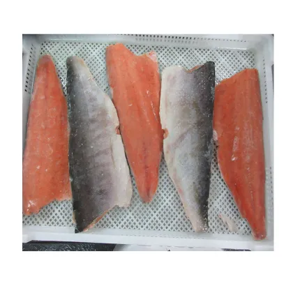 High Quality Factory Price Salted Seafood Salmon Fillet Frozen Vacuum