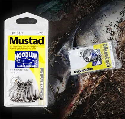 Mustad 10827np Stainless Steel Saltwater Carp Fishing Hooks