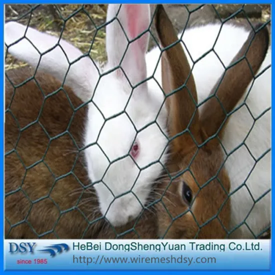 Low Price Decorative Chicken Wire Mesh