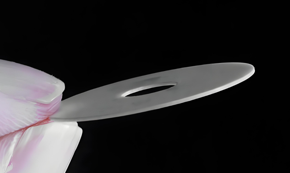 Aluminum Nitride Ceramic Disc with Holes