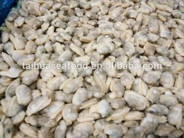 FROZEN YELLOW CLAM MEAT BABY CLAM MEAT IN BULK PACK