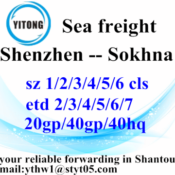 Shenzhen Shipping Services to Sokhna