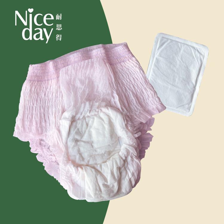 Overnight disposable Period Underwear