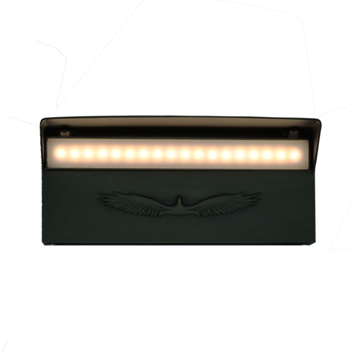 12V pathway light