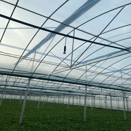 Agriculture Farm GreenHouse /Flower Hydroponics Greenhouse