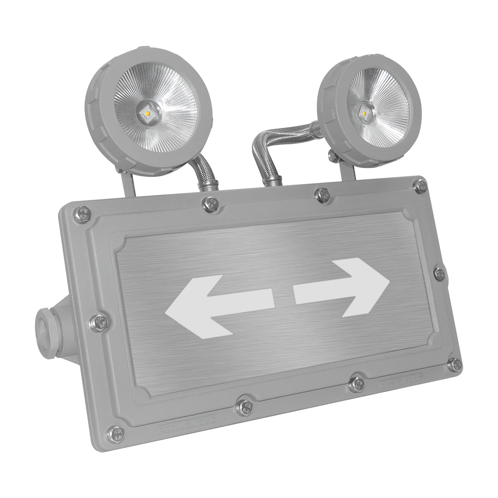 explosion proof emergency light (5)