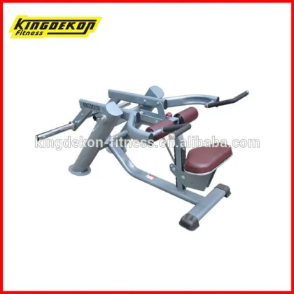 Seated Dip strength fitness equipment