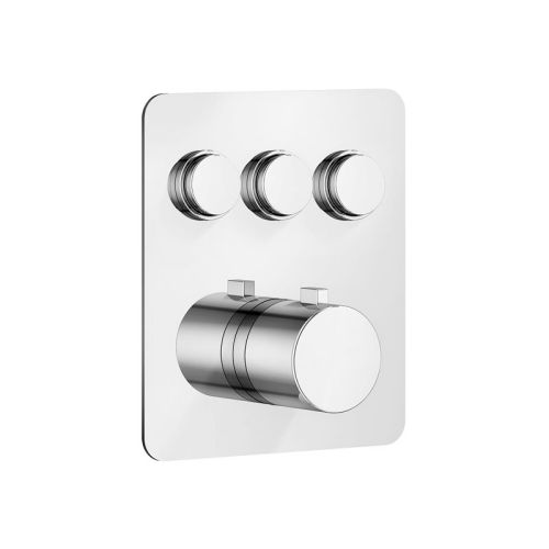 Thermostatic Shower Control