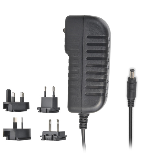 Plug intercambiabile da alimentazione 12V 2A