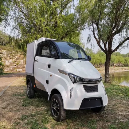 Green New Energy Cargo for Sale
