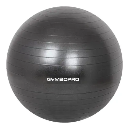 Anti Burst Custom Factory Professional Ball Balance Trainer