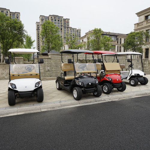 2-sits litiumbatteri golfbuggy