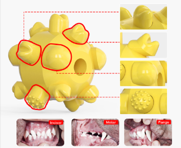 Multi Cleaning And Traing Toy For Dog Details 4