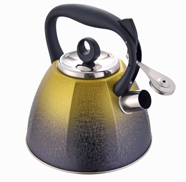 Kettle for Stovetop and Induction Cooker