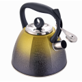 Ergonomic handle tea kettle with quick heating