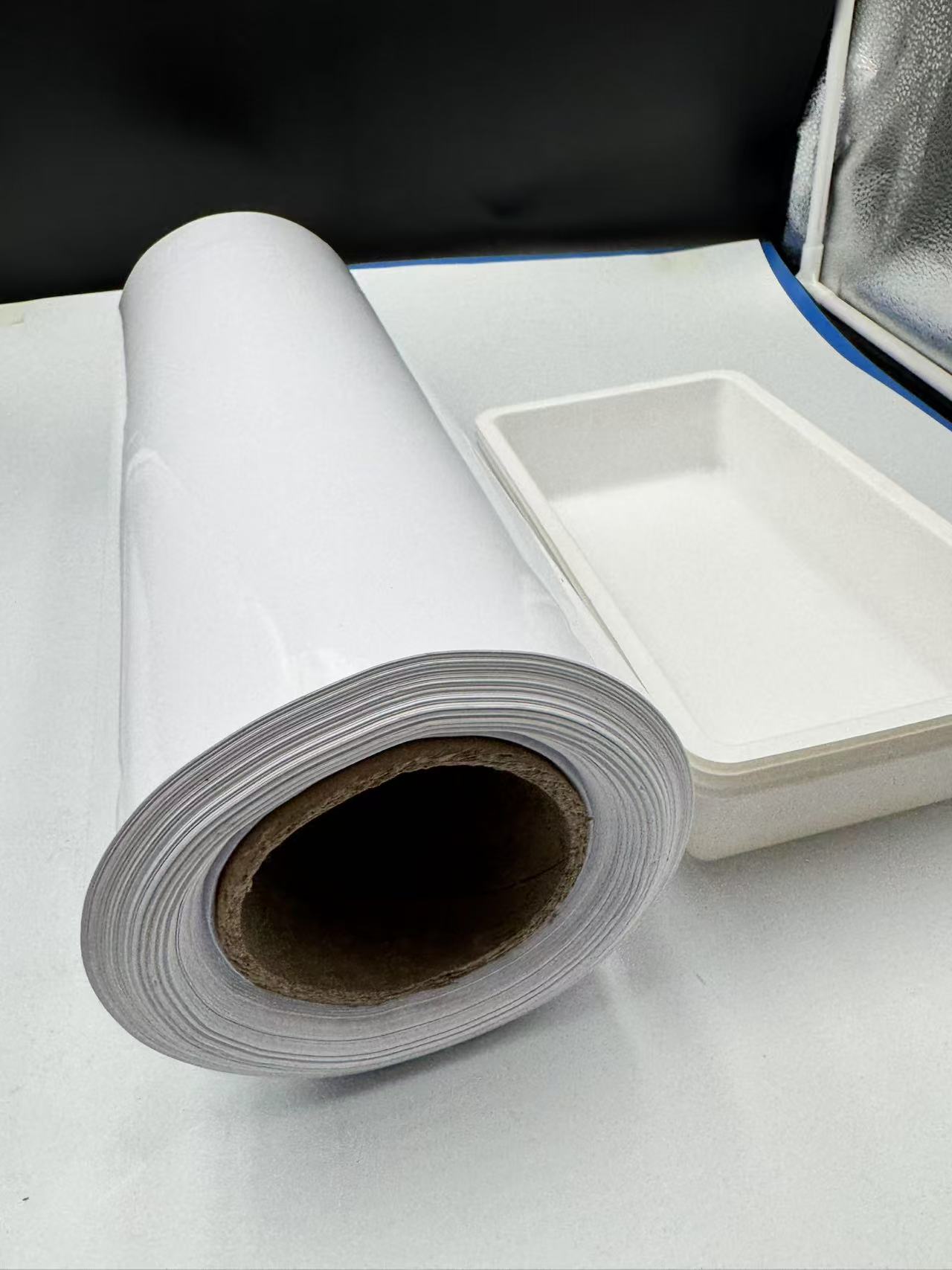 White PET film food blister packaging