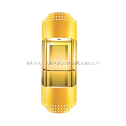 China Cheap Luxurious Home Elevator Price Kone Elevator