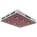 Warehouse Cob LED Grow Light Miglior prezzo