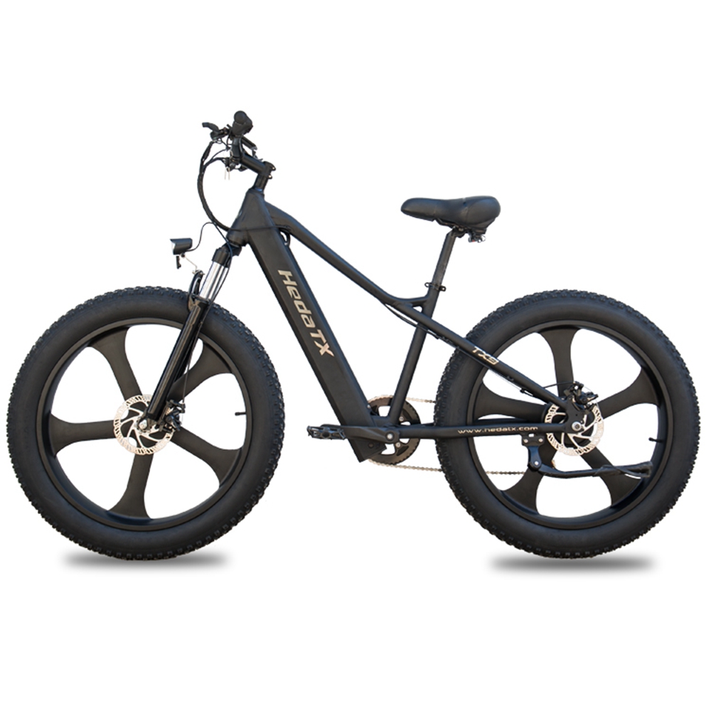 Fat tire Electric Bicycle with good shock absorption