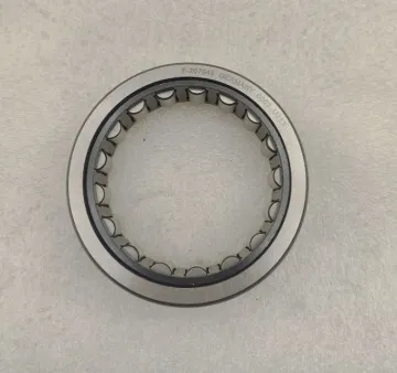 Germany Original Quality Single Row Cylindrical Roller Bearings F-207948 - CHNA Cheapest Price