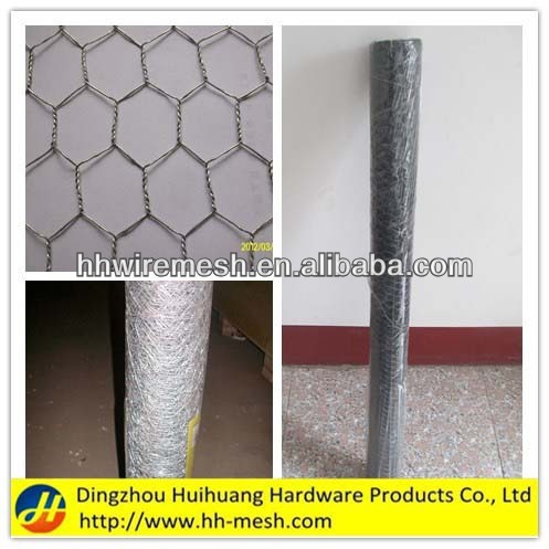 China Supplier Hot Dipped Galvanized Chicken Wire Netting