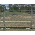 Tubo ovalado galvanizado de acero paneles de patio de oveja portátiles