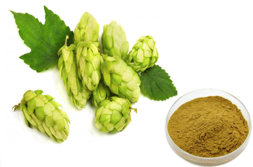 Hop extract