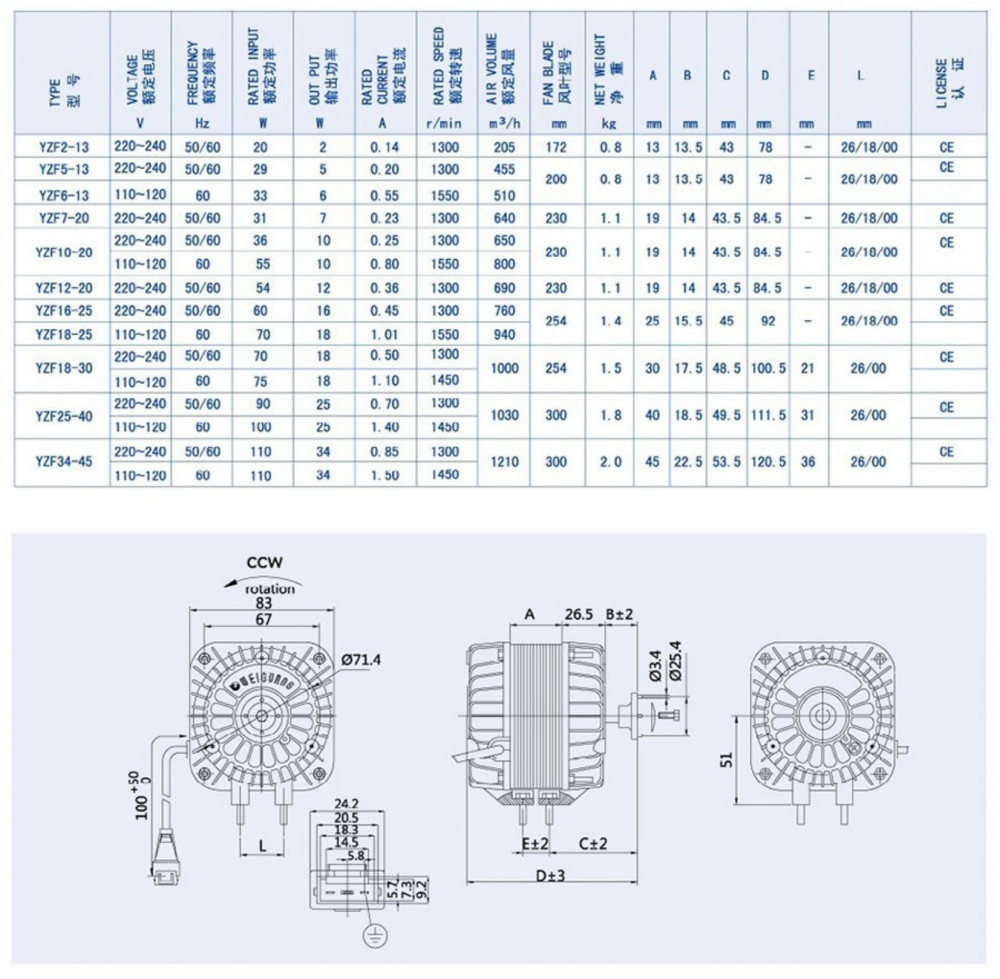 Motor With Plug