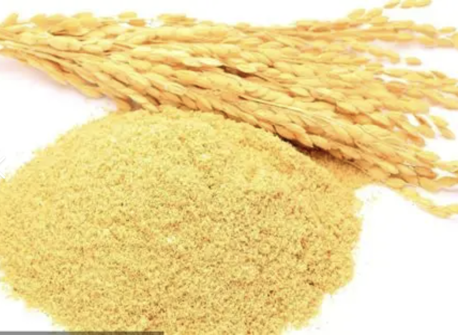 Rice Ceramide Powder Supplier