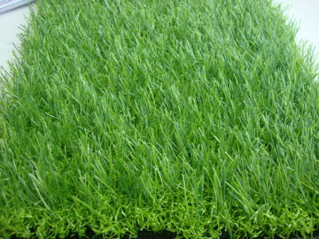 Top Sale landscaping turf for pets