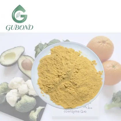 High Purity CoQ10 Powder for Nutritional Supplements