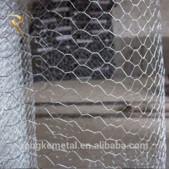 Hexagonal Wire Mesh/ Netting