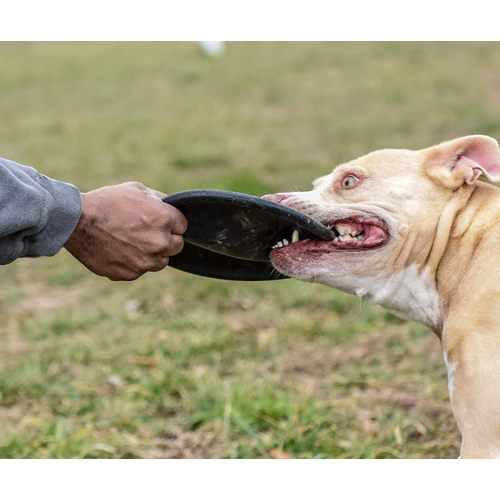 Dog Frisbee Durable Natural Rubber