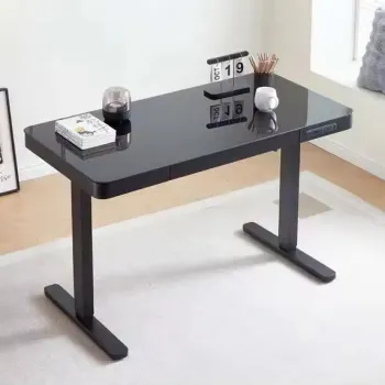 Healthy and Popular Ergonomic Dual Motor Electric Standing Desk