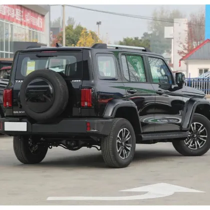 Top Selling GWM Great Wall Tank 300 Light SUV in 2023: A Hot Choice in Chinese Cars