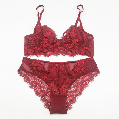 ensemble de culotte de lingerie en dentelle de cils brodés sexy