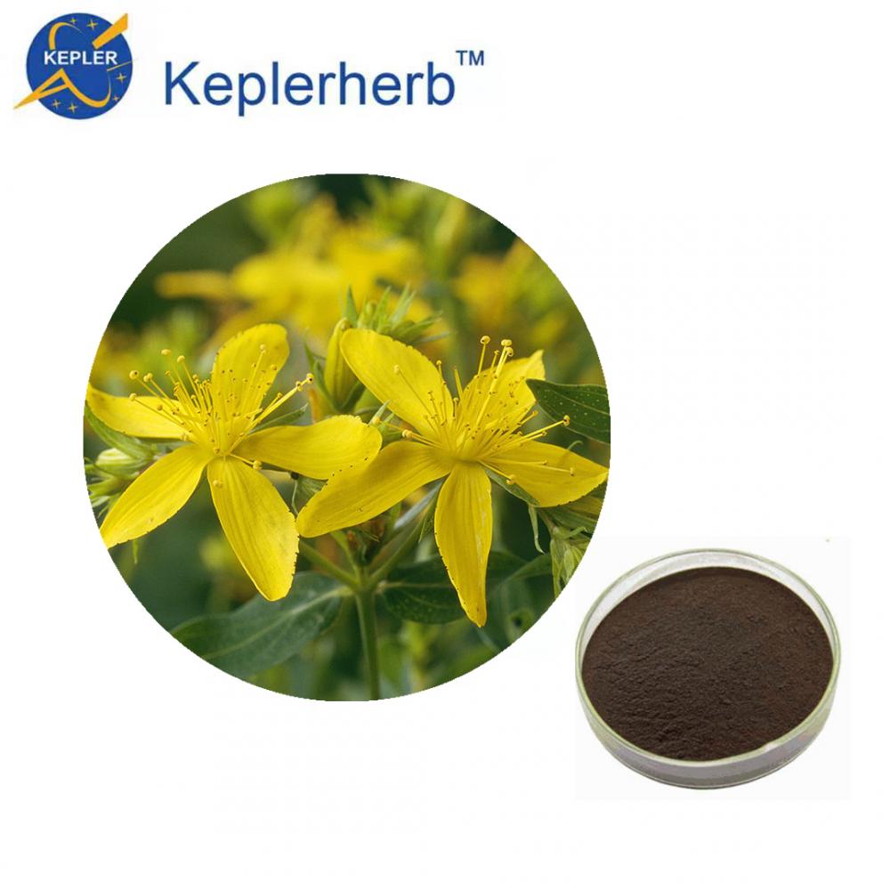 St John S Wort Extract