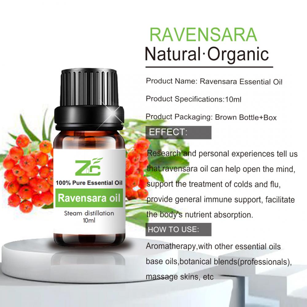 آروماتراپی طبیعت اسانس Ravensara