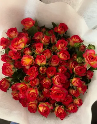 Multi-Headed Summer Dance Rose in Red and Orange