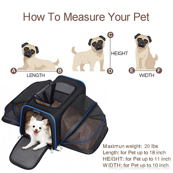 Airline Approved Pet Carrier